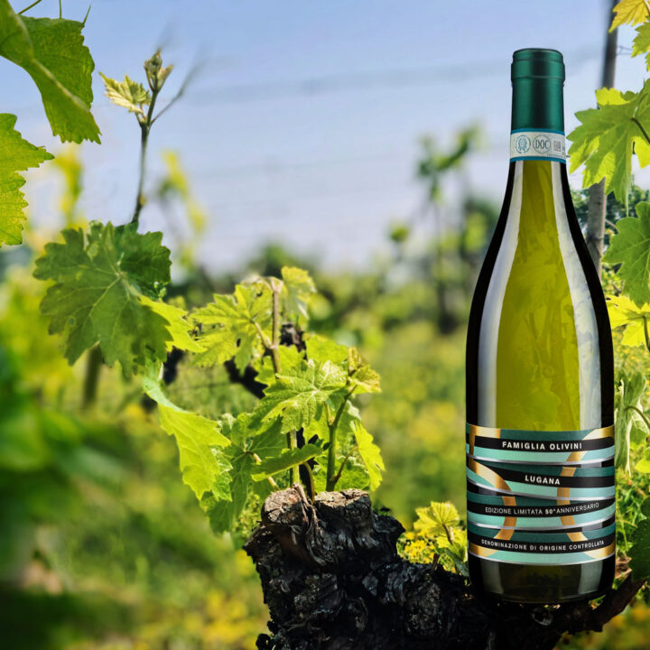 I cinquant’anni di Famiglia Olivini