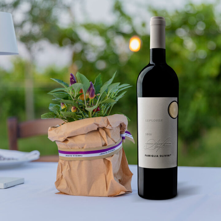 Explorer, il nuovo vino di Famiglia Olivini