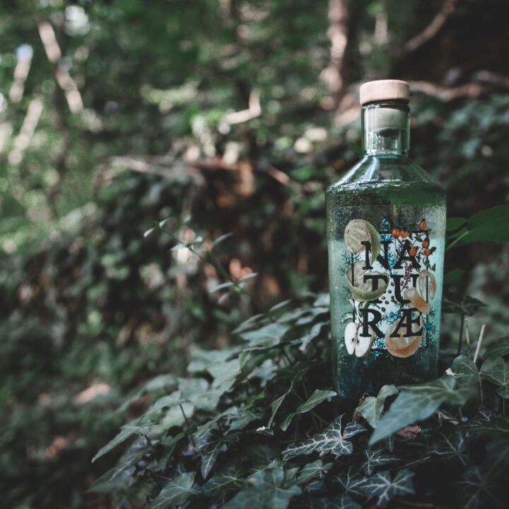 Naturæ Gin vince ai World Gin Awards