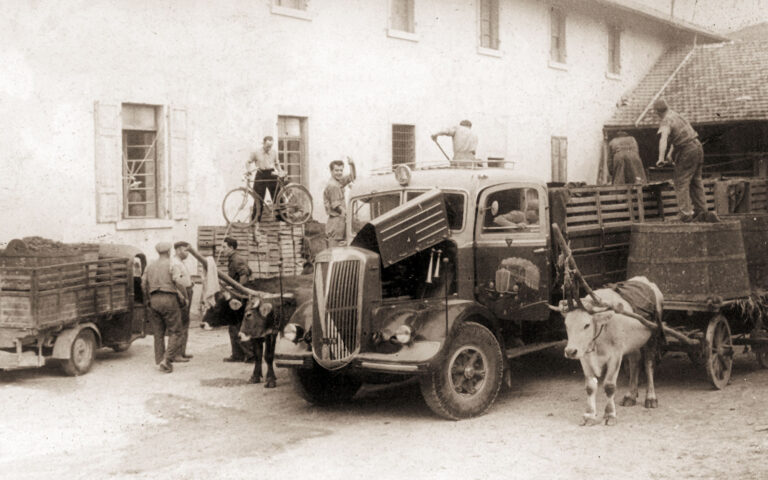 Agraria Riva del Garda compie cento anni: un secolo di cooperazione, territorio e innovazione